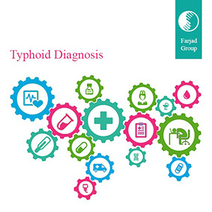 Typhoid